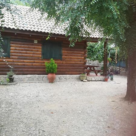 Cabana De Madera La Encina Burunchel Ngoại thất bức ảnh