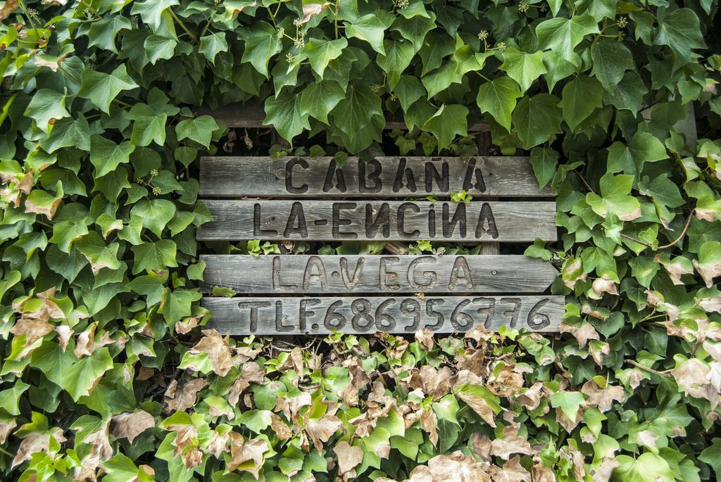 Cabana De Madera La Encina Burunchel Ngoại thất bức ảnh