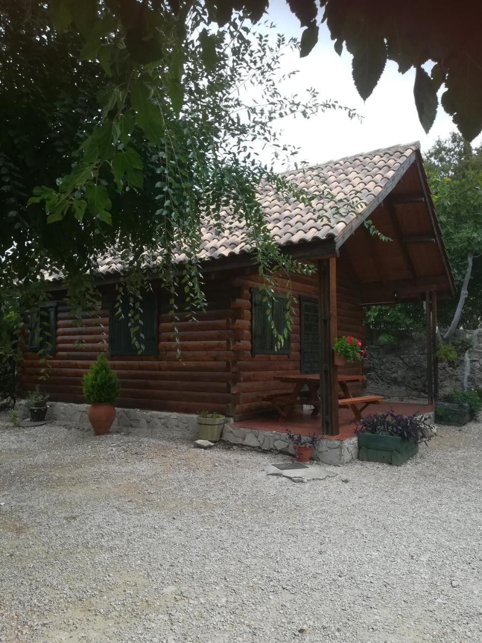 Cabana De Madera La Encina Burunchel Ngoại thất bức ảnh